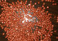 লোহার অক্সাইড Fe2O3 প্লাস্টিকের প্লেট মেকিং মেশিন, ডুয়েল স্ক্রু Extruder উচ্চ ক্ষমতা সরবরাহকারী